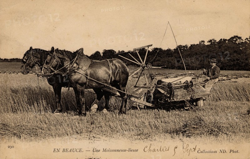 FARMING