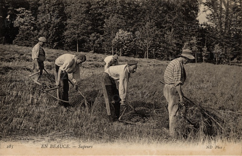FARMING