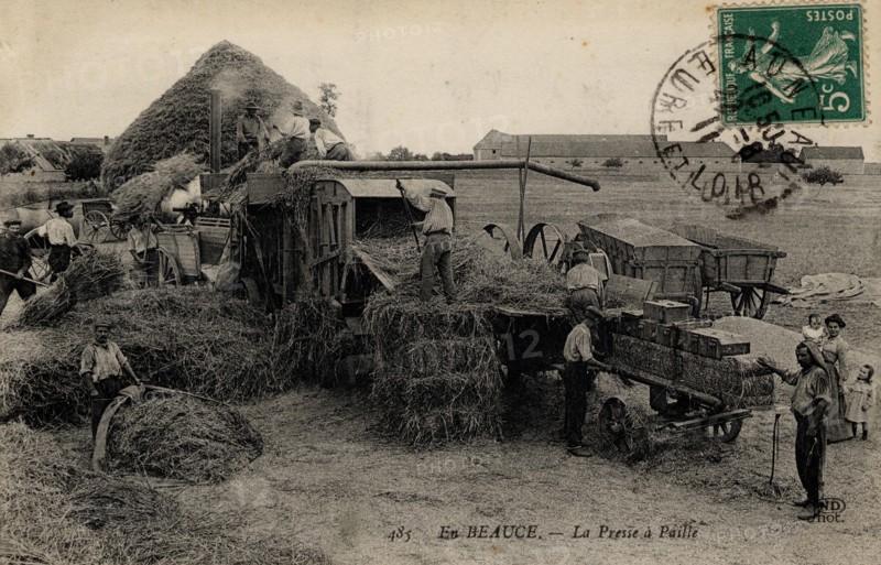 AGRICULTURE