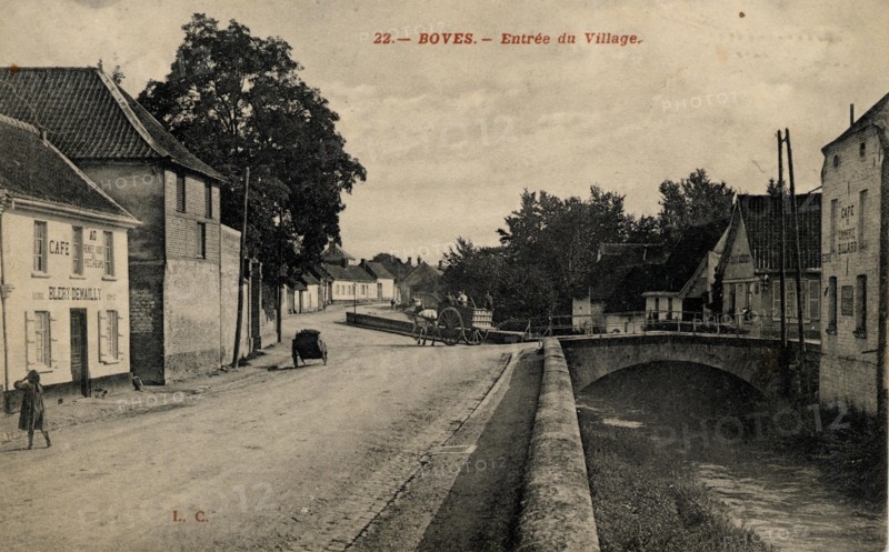 BOVES