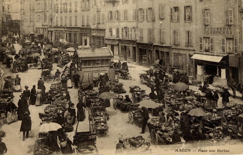 MACON