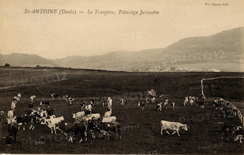 SAINT-ANTOINE