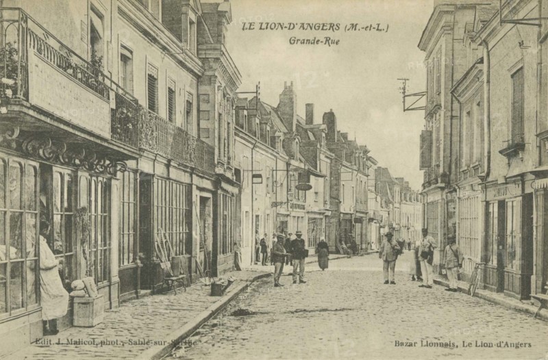 LION-D_ANGERS