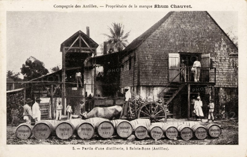 SAINTE-ROSE