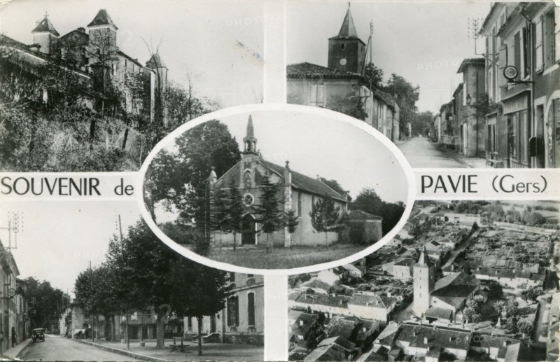 Pavie