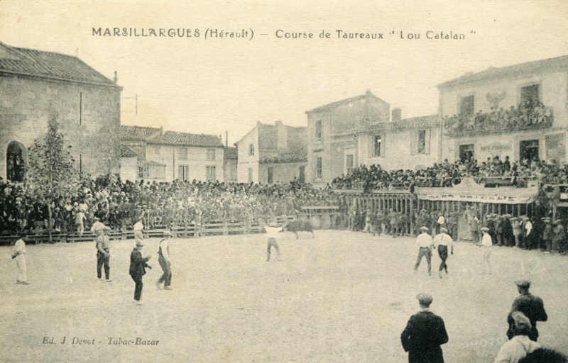 Marsillargues
