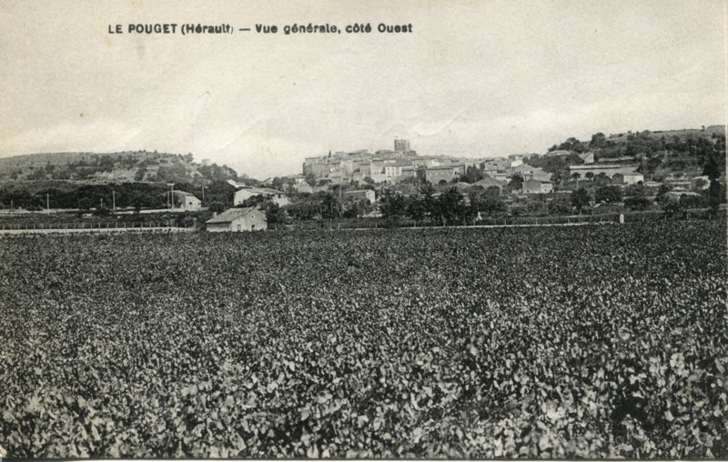 Pouget