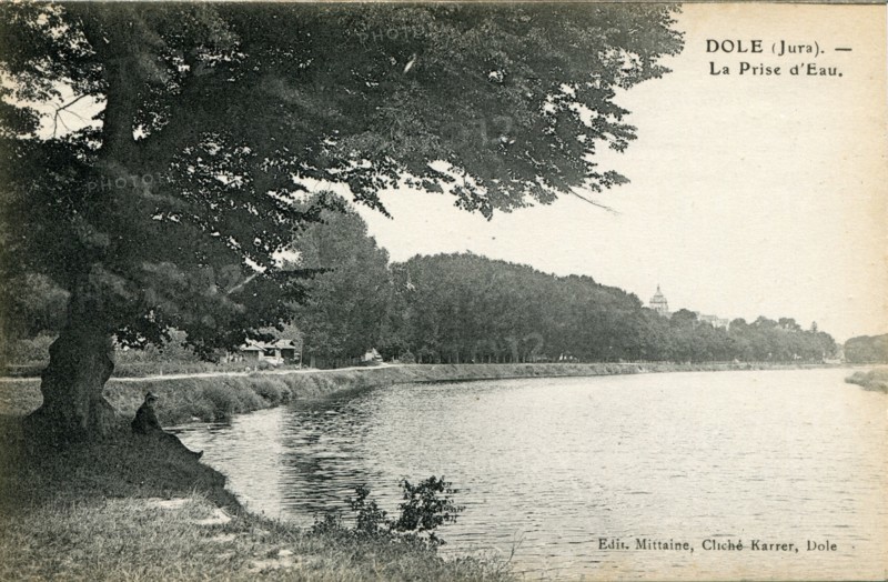Dole.