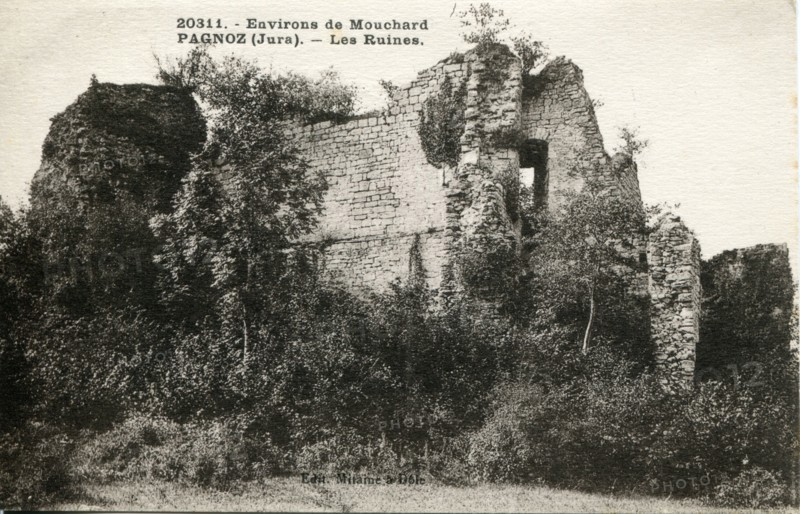 Mouchard.