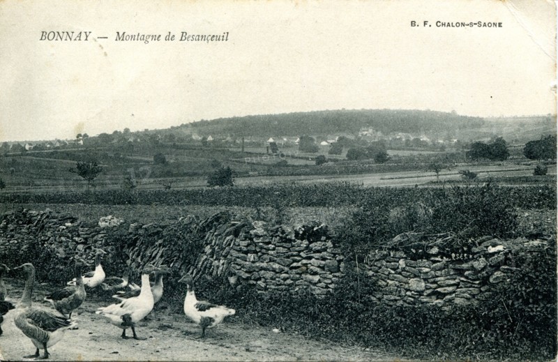 Bonnay