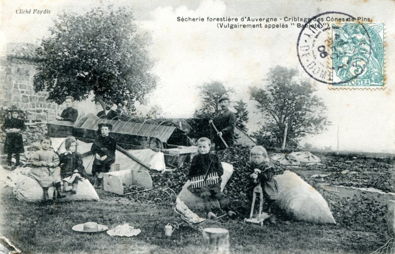 Metiers-Du-Bois