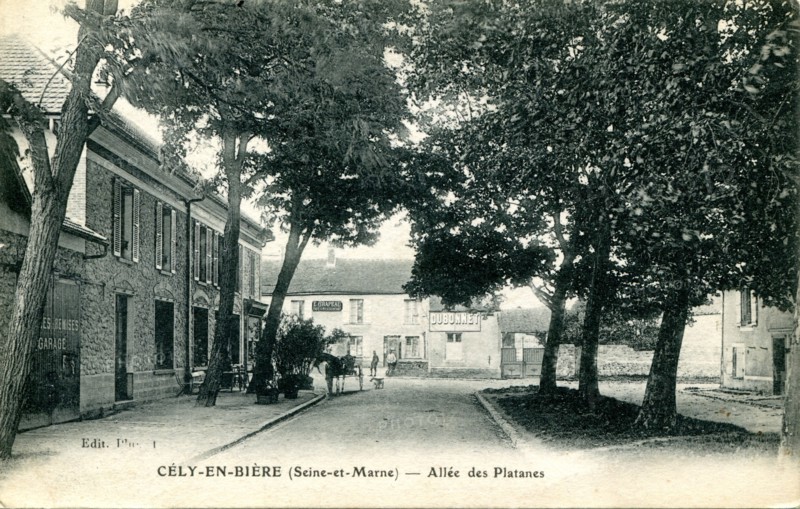 Cely