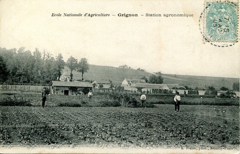 Thiverval-Grignon