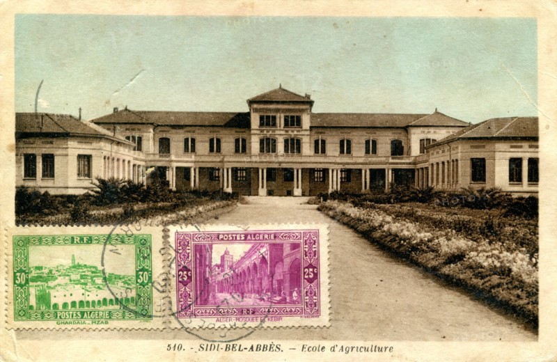 Sidi-Bel-Abbes (Algérie)