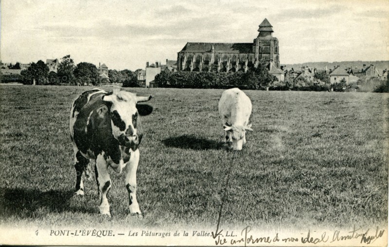 Pont-l'Evêque