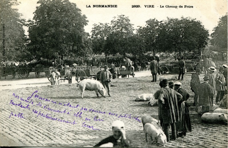 Vire