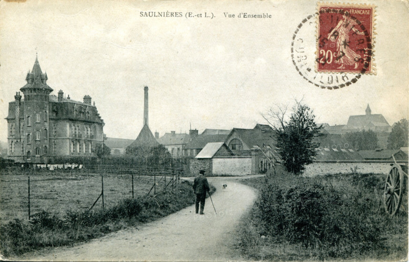 Saulnières