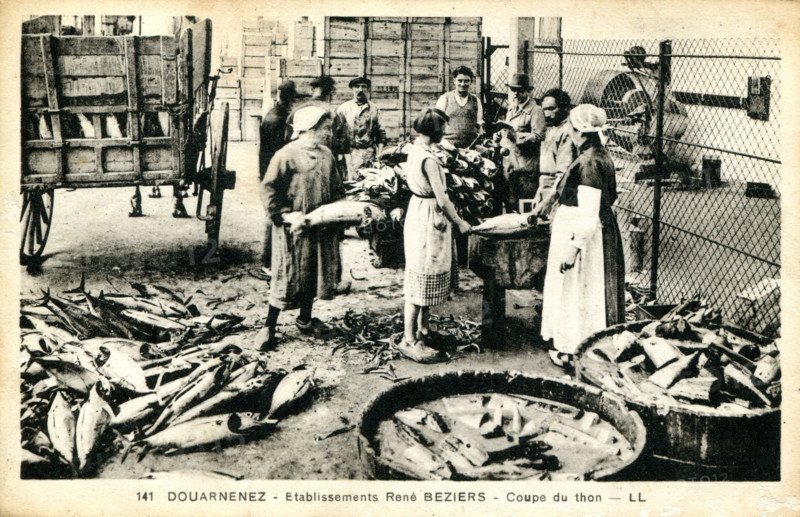 Douarnenez