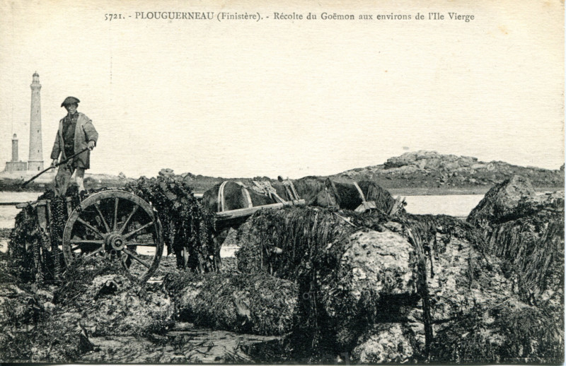 Plouguerneau