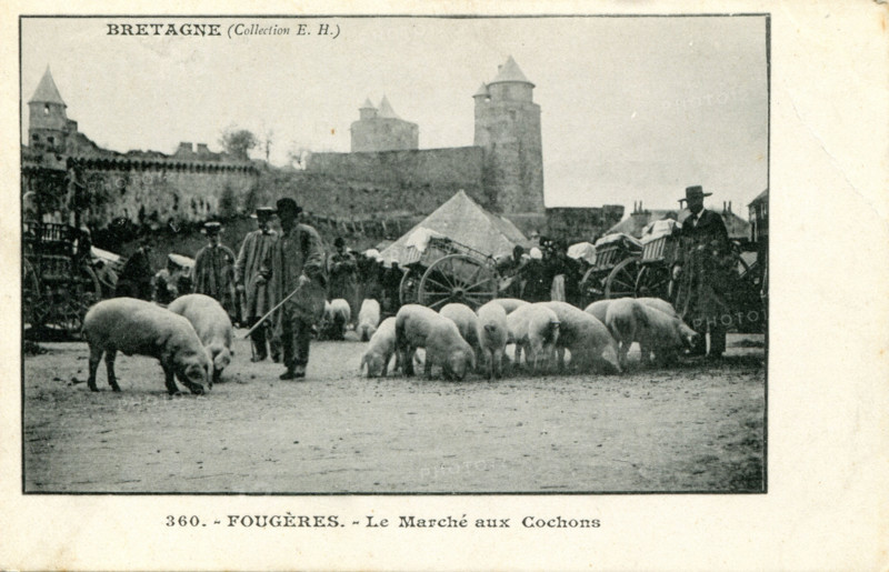 Fougères