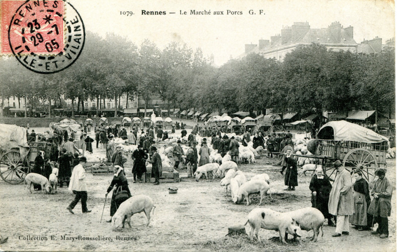 Rennes