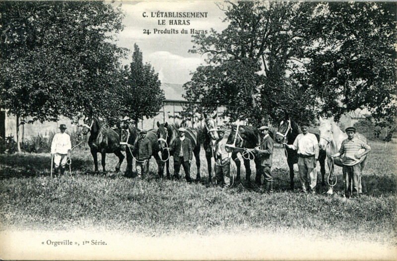 Caillouet-Orgeville