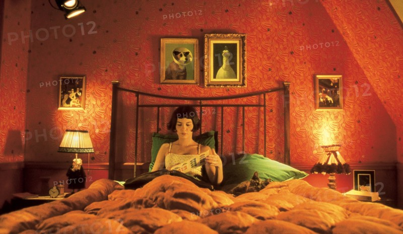 Le Fabuleux destin d'Amélie Poulain