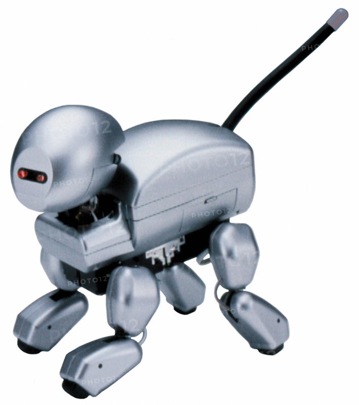 Robot dog