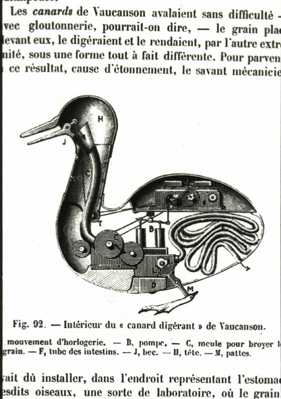 Interior of Vaucanson's digesting duck