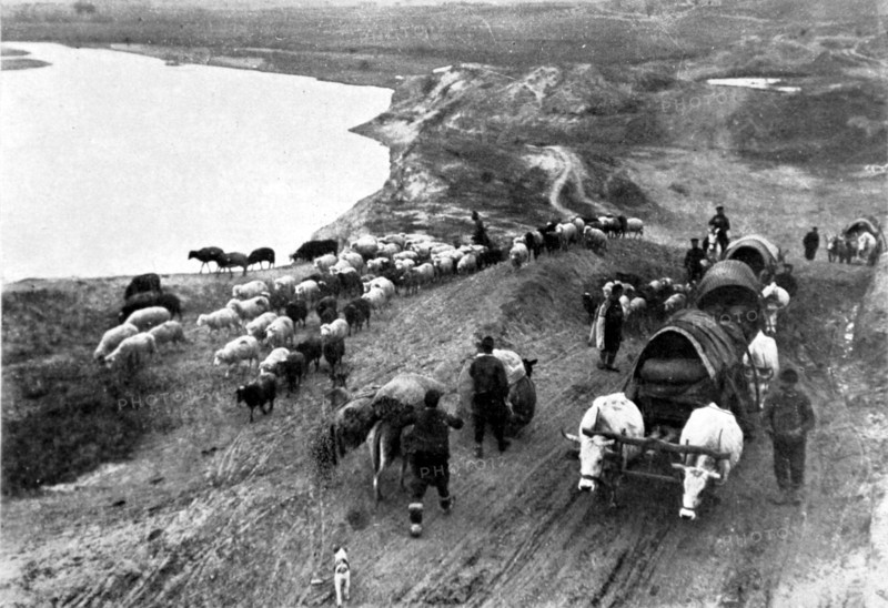 Balkan War.
Around Andrinople, provision of the Bulgarian troops, which are investing town, with fresh supplies, 1912