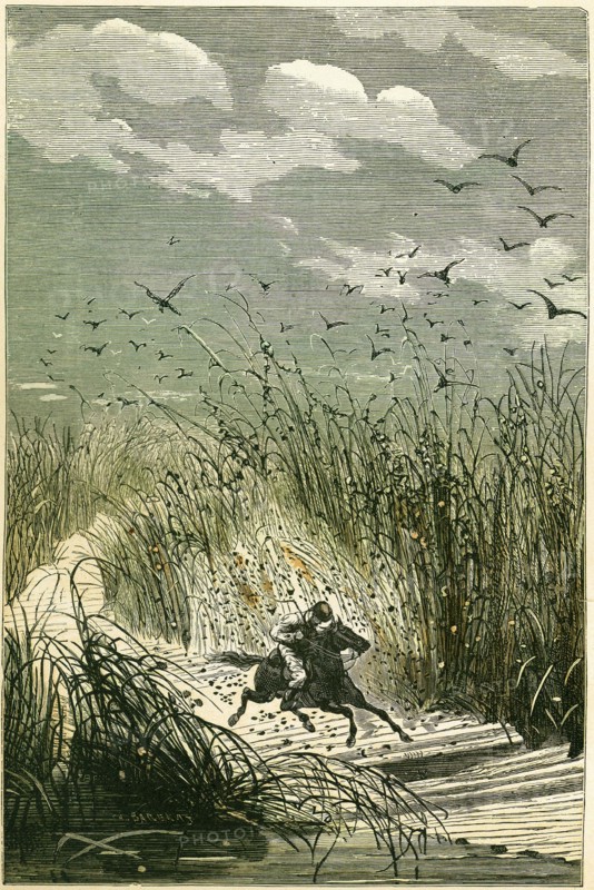 Jules Verne, 'Michael Strogoff. From Moscow to Irkutsk' (illustration)