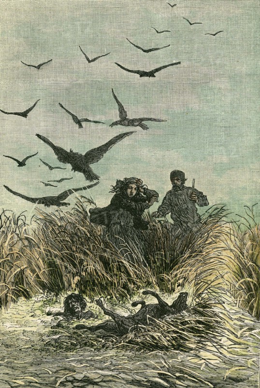 Jules Verne, "Michel Strogoff. De Moscou à Irkoutsk" (illustration)