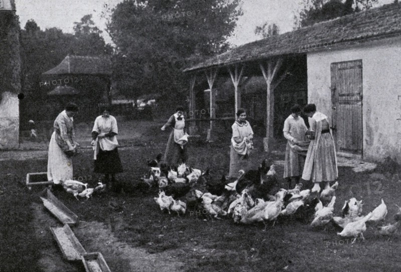 Farmyard at a school farm