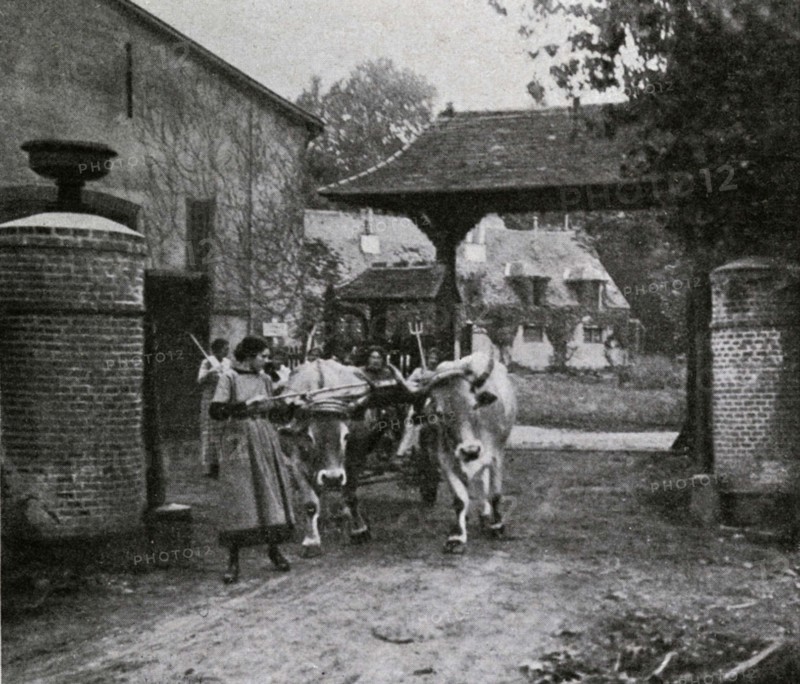 Saint-Léger-en-Yvelines, school farm