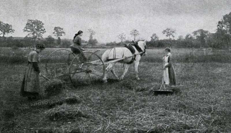 Haymaking at a school farm