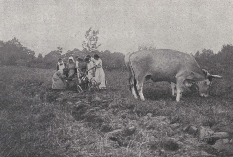 Creusement d'un sillon dans une ferme-école