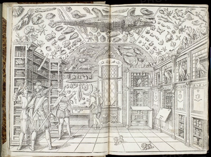 Imperato, Ferrante in his cabinet of curiosities