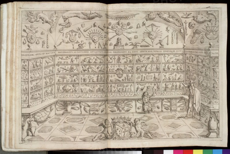 Legati, Cabinet de curiosités