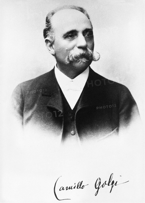 Golgi, Camillo, médecin italien.