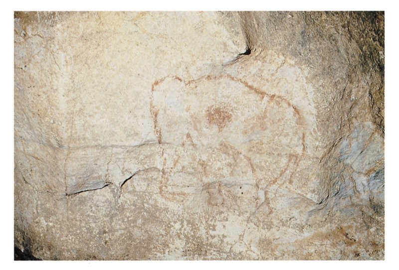 Cave painting