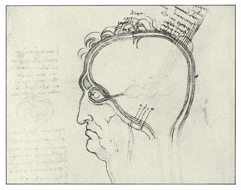 Siège de l'âme dans trois ventricules du cerveau
