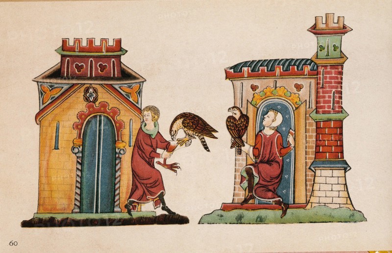 Falconry, miniature