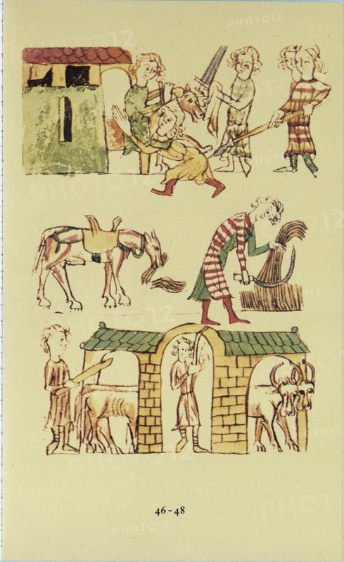 Codex Palatinus Germanicus, around 1330