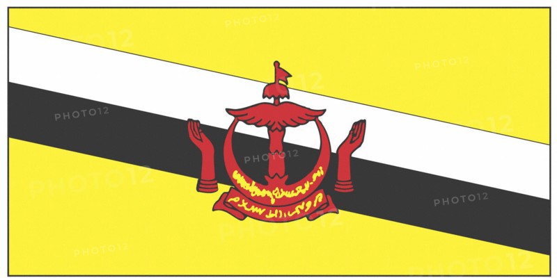 Flag of Brunei