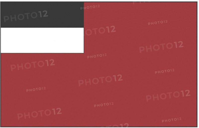Flag of Georgia