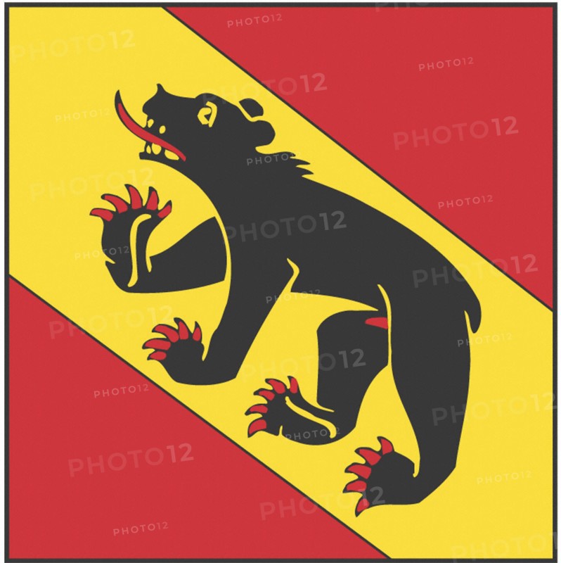 Flag of the canton of Bern