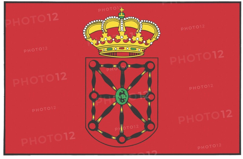 Flag of the province of Navarra