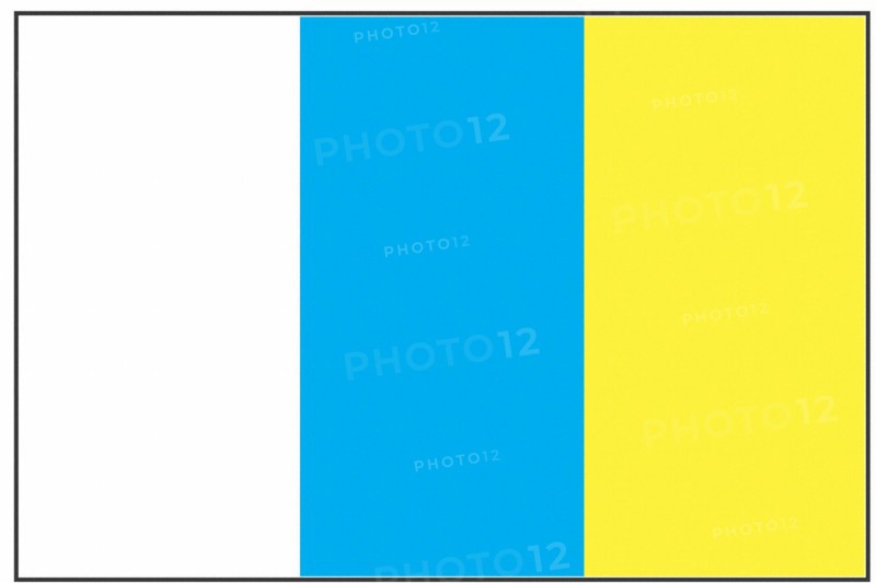 Flag of the Canary Islands