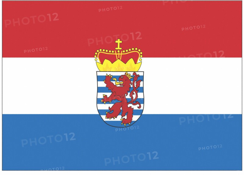 Drapeau de la province du Luxembourg (Belgique)