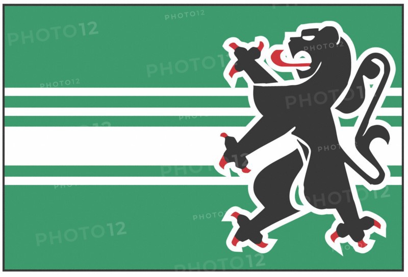 Flag of the province of the East Flanders